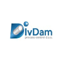 ivdamprocess.com