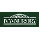 Ivy Nursery