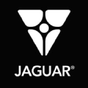 jaguar.mx