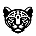 Company logo for jaguarundidigital.com