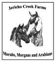 Jericho Creek Farms