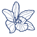 Company logo for juicybar.us
