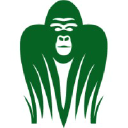 Jungle Software