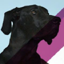justfordogs.us