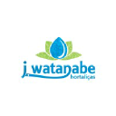 jwatanabe.com.br