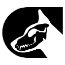 K9 Digital