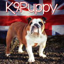 K9Puppy
