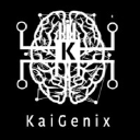 kaigenix.com