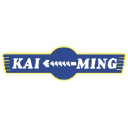 kaiming-china.com
