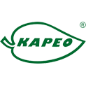 kapeo.com.pl