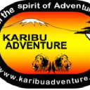Karibu Adventure's & Safaris