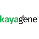 kayagene.com