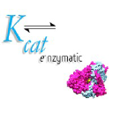 kcat.co.in