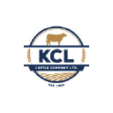 KCL Cattle Company logo