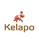 kelapo.com