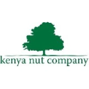 kenyanut.com