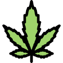 Kind Castle Organic Cannabis Superstore Logo