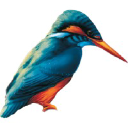 kingfisheruk.com