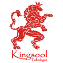 kingsooltechnologies.com