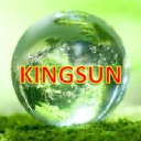 kingsunele.com