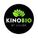 KINOBE