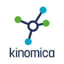 kinomica.com