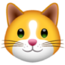 kitten.finance
