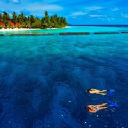 maldivemarine.com