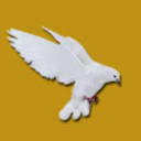 Lawrence & Associates Solicitors