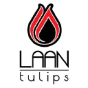 laantulips.nl