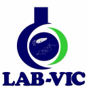 lab-vic.com