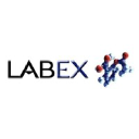 laboratoire-labex.fr