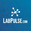 labpulse.com