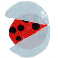 ladybirdfilms.net