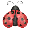 ladybirdlane.co.uk