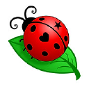 ladybugeventsllc.com