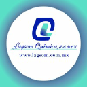 lagsom.com.mx