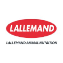 lallemandanimalnutrition.com