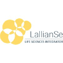 lallianse.com