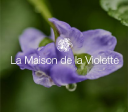 LE JARDIN D'ELEN-ATELIER DE CREATIONN