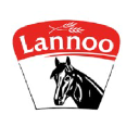 lannoo-martens.com
