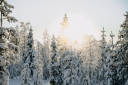 Laplandtravel