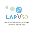 LABORATOIRE D'ANATOMIE PATHOLOGIQUE VETERINAIRE DU SUD-OUEST