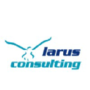larusconsulting.com