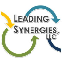 leadingsynergies.com