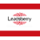 Leadsberry logo