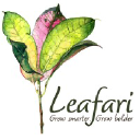 leafari.com