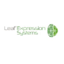 leafexpressionsystems.co.uk