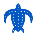 leatherback.net