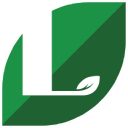 Leaves - Life Stories